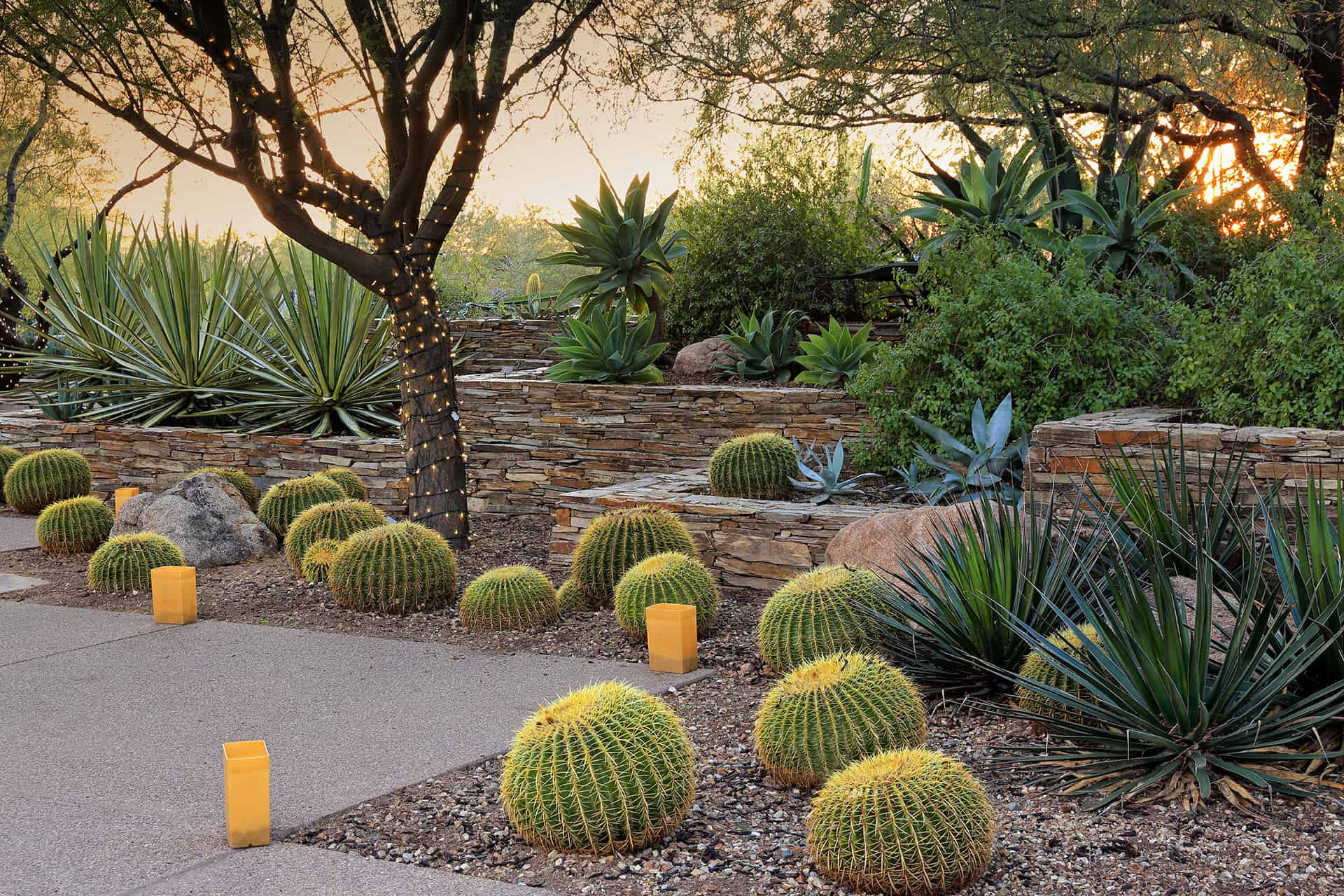 affordable-bushes-for-my-home affordable-bushes-for-my-home