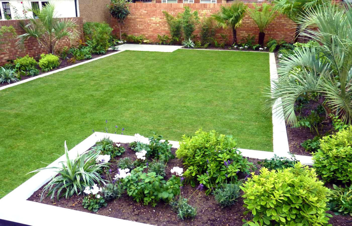 affordable-shrubs-for-my-home affordable-shrubs-for-my-home