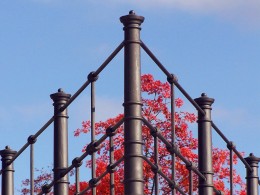 Fencing