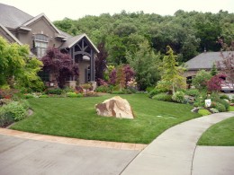 Full Design and Consultation