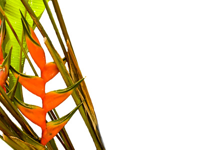 Landscape Designers Landscape Designers