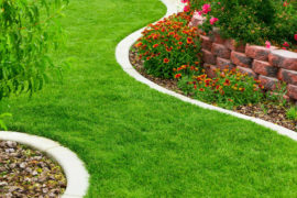 landscape designs-and-tips landscape designs-and-tips