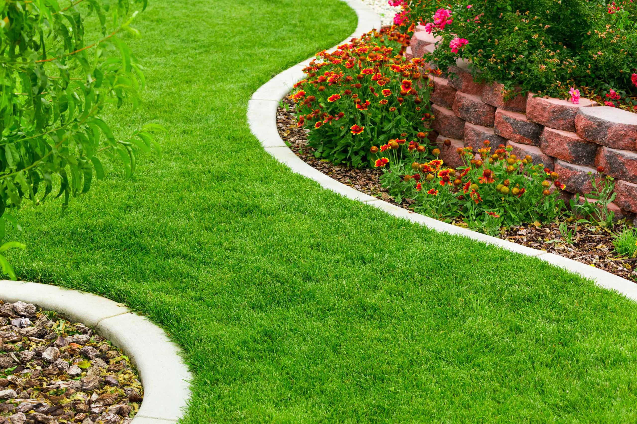 landscape designs-and-tips landscape designs-and-tips