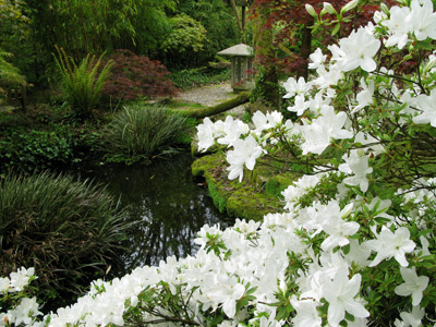 Landscape Gardens Landscape Gardens