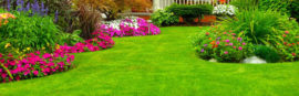 landscaping-company-near-by