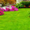 landscaping-company-near-by