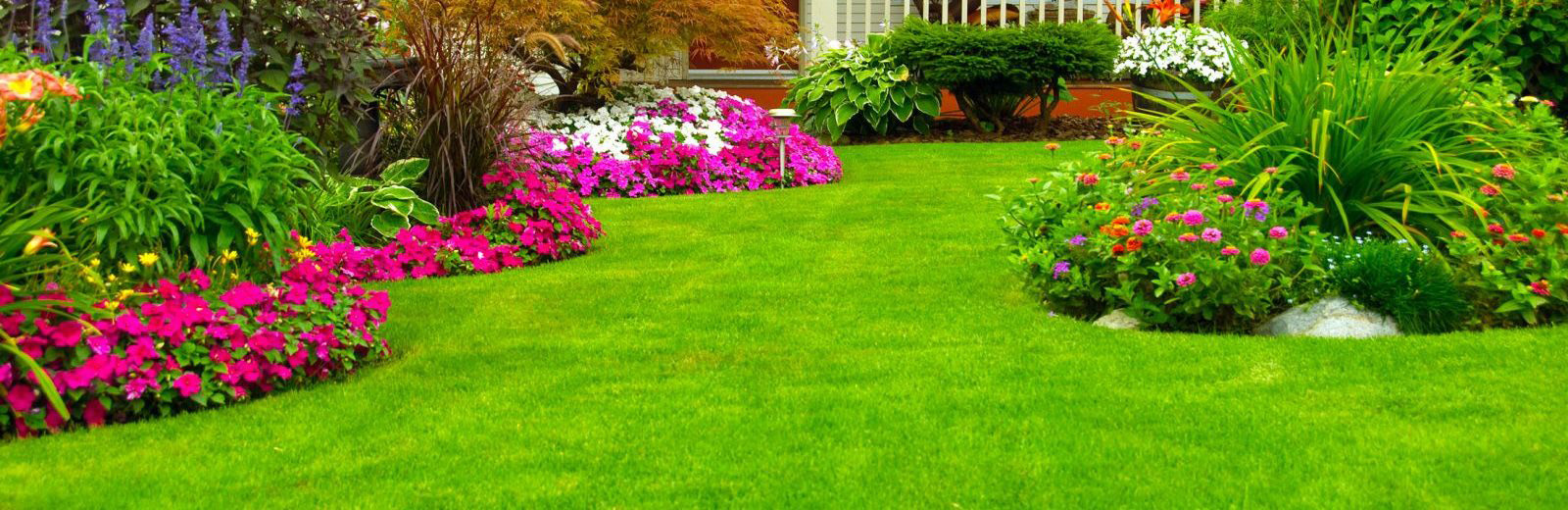 landscaping-company-near-by landscaping-company-near-by