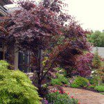 landscaping-miscellaneous-13