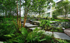 new-landscaping-ideas