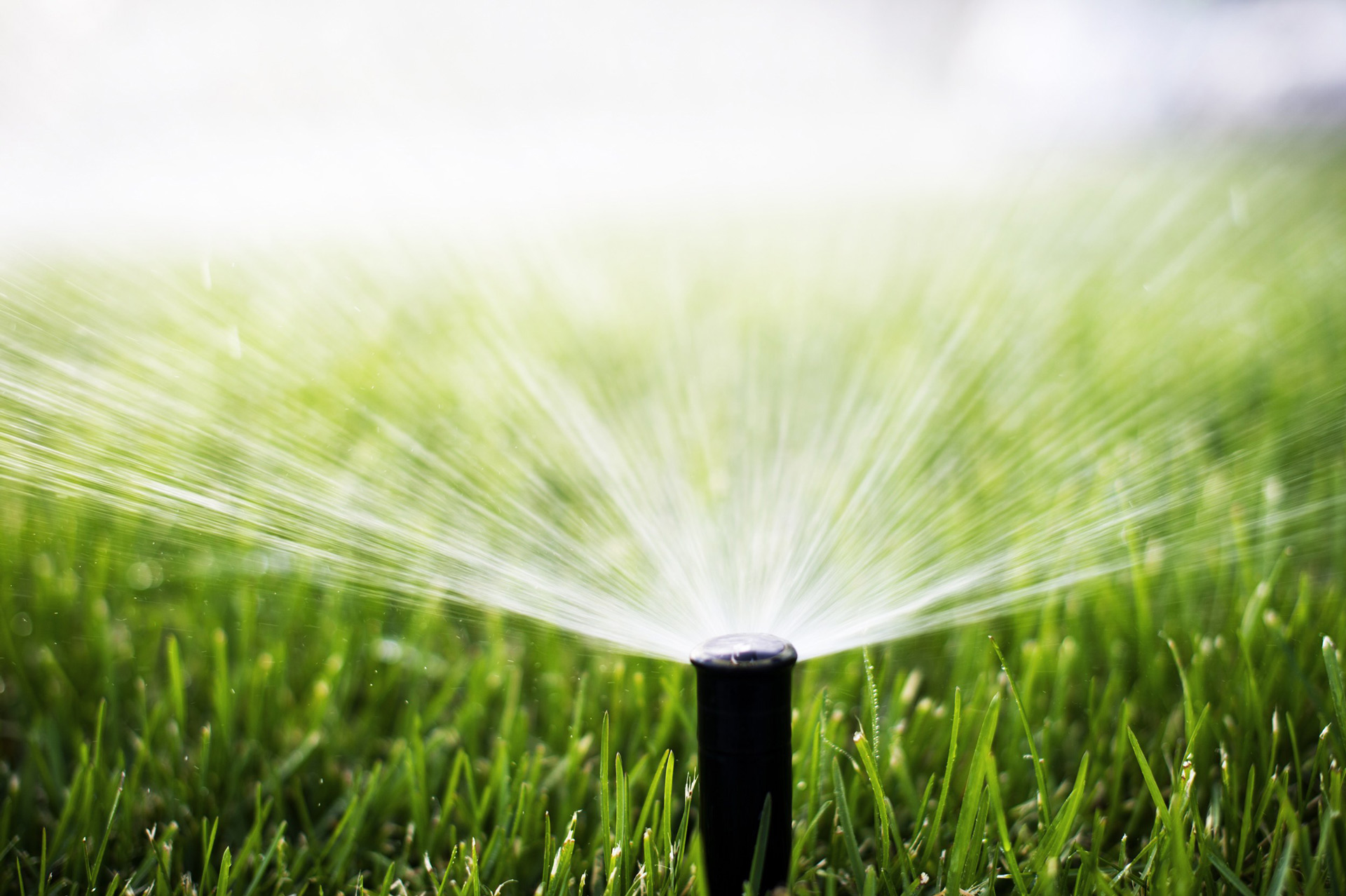 park-city-sprinkler-repairs park-city-sprinkler-repairs