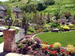 Planting, Trees, Shrubs, Perennials, Groundcover