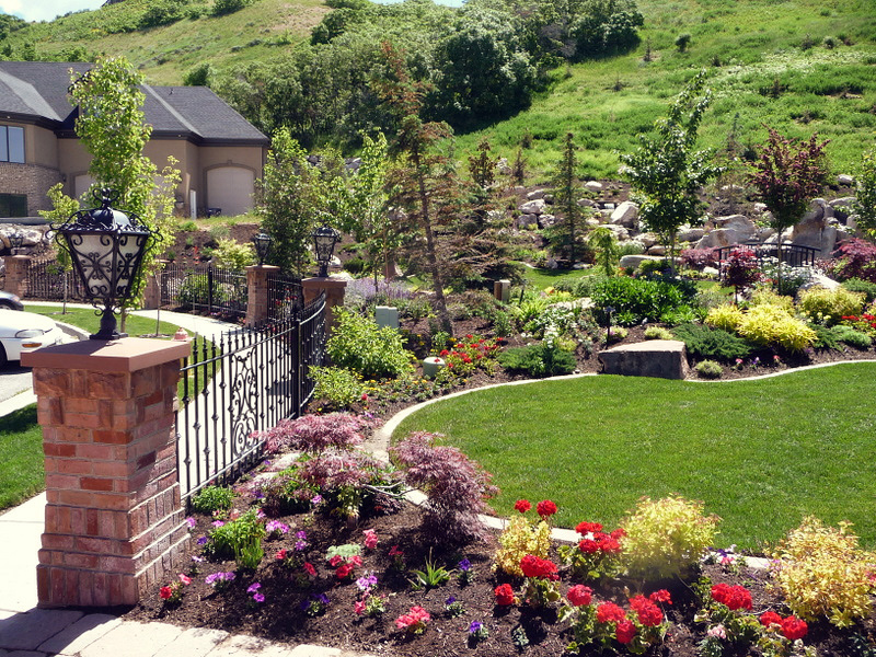 Planting, Trees, Shrubs, Perennials, Groundcover