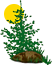 Richter Landscape, Inc.