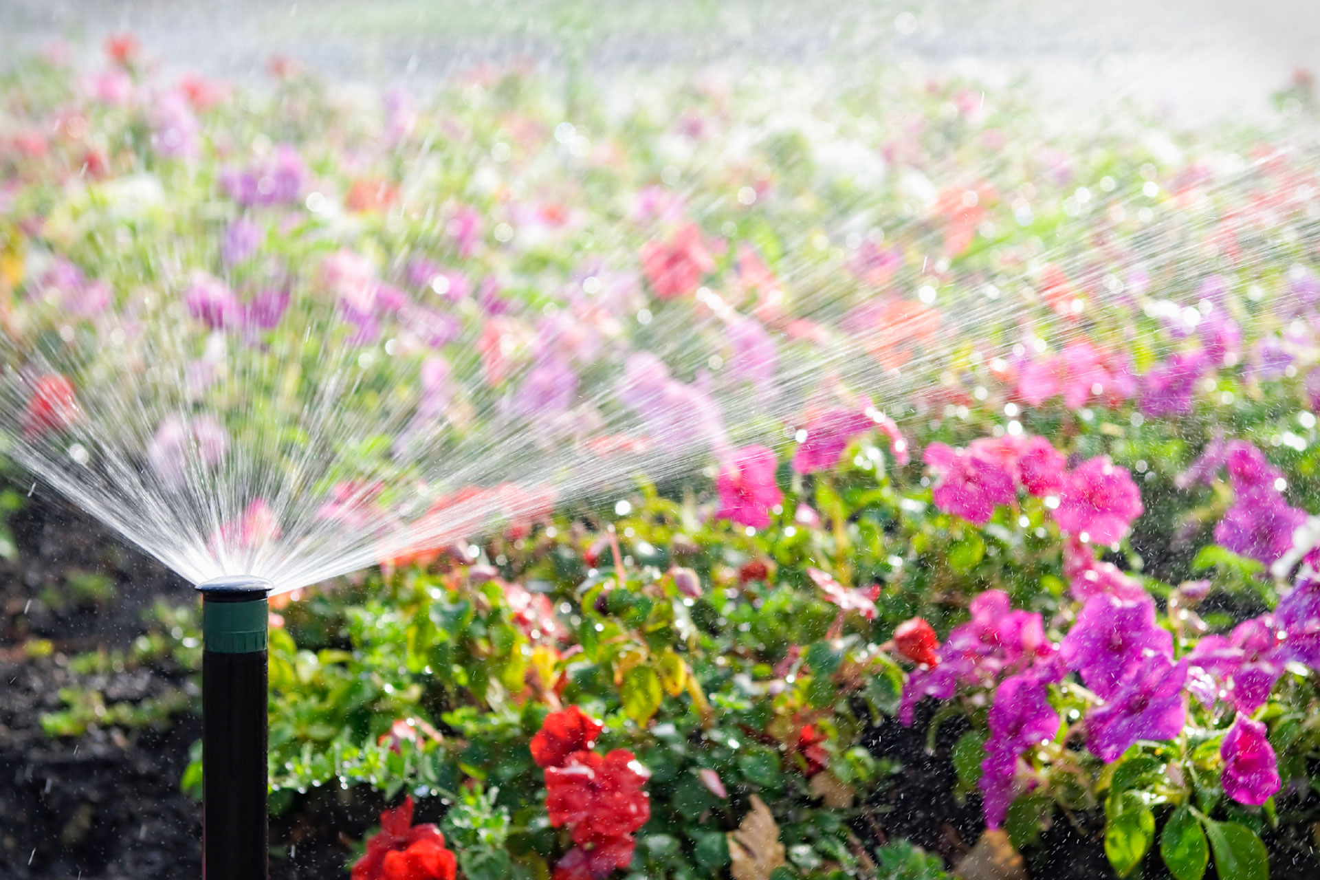 salt-lake-city-irrigation-installation salt-lake-city-irrigation-installation