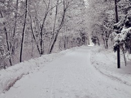 Snow Removal