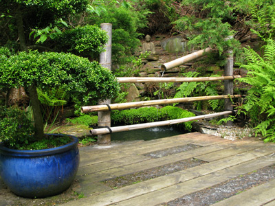 Water Landscaping Water Landscaping