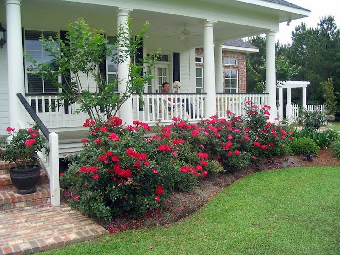 what-to-know-about-landscaping what-to-know-about-landscaping