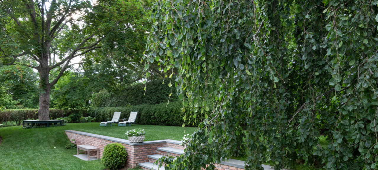 what-to-know-about-outdoor-landscaping