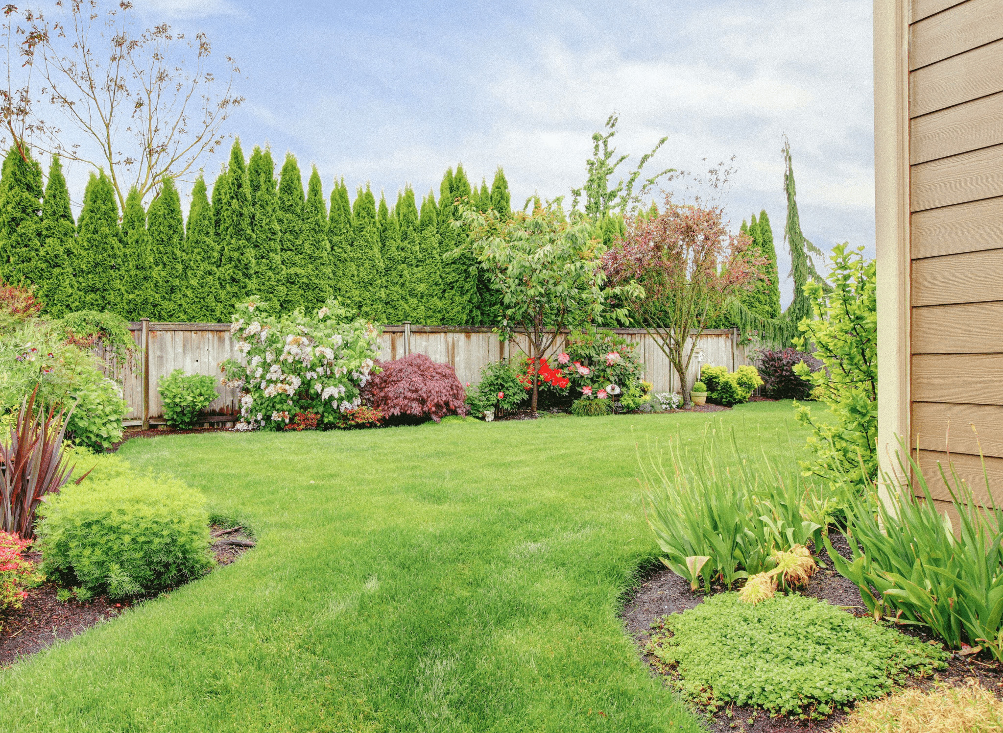 what-type-of-bushes-should-i-get-for-my-home what-type-of-bushes-should-i-get-for-my-home