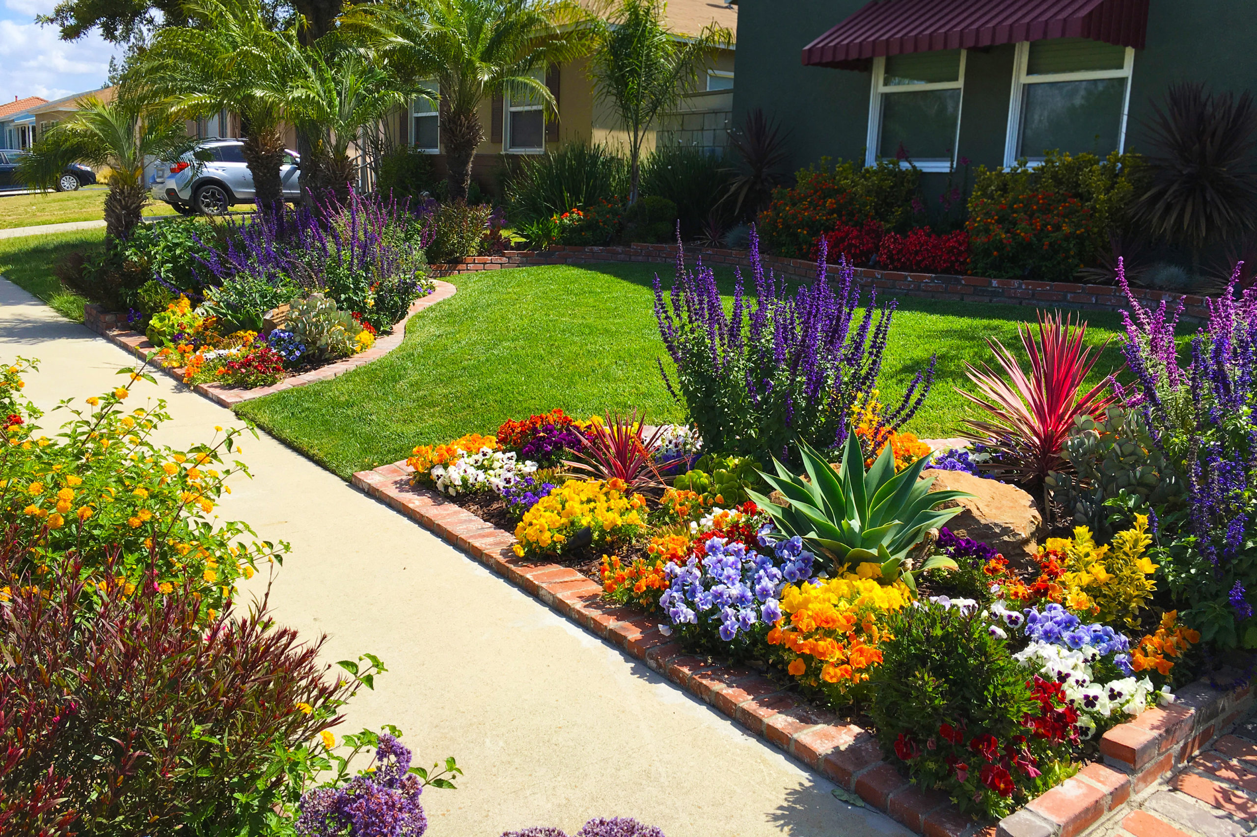 what-type-of-flowers-should-i-plant-for-my_home-in-utah what-type-of-flowers-should-i-plant-for-my_home-in-utah