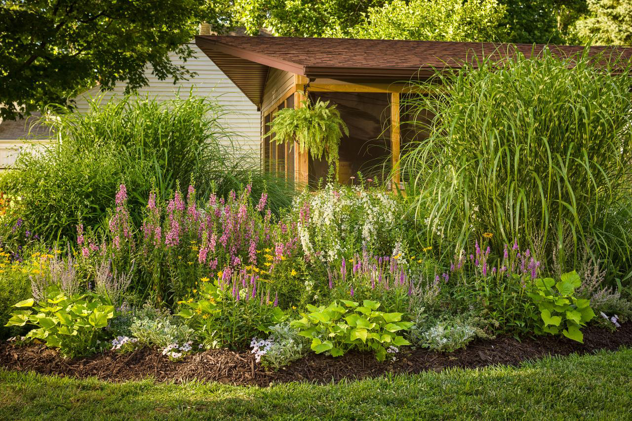 what-type-of-shrubs-are-available-in-utha what-type-of-shrubs-are-available-in-utha